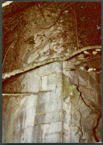 Château du Grand-Pressigny : mur du nymphée.