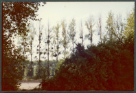 Monts, domaine de Candé : moulin Couché, prairie.