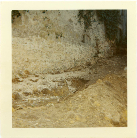 Château de Chinon : fossé.