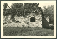 Château de Saché : mur du parc.