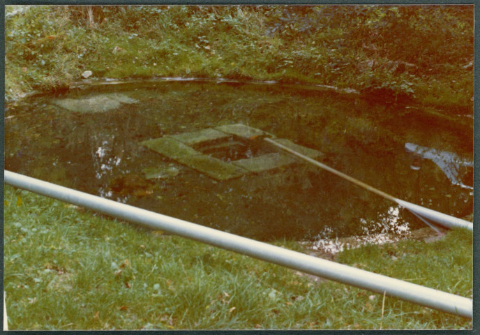 Château du Grand-Pressigny : fontaine des Ferrus.