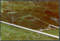 Château du Grand-Pressigny : fontaine des Ferrus.