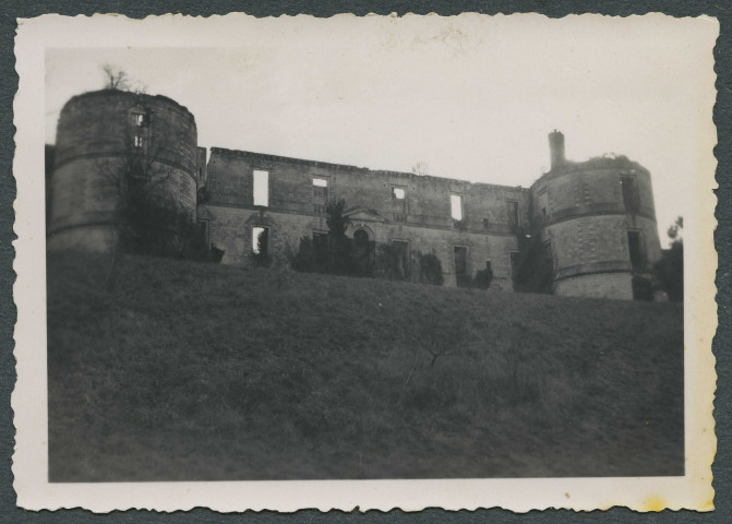 Saint-Épain (Indre-et-Loire). Ruines du château de Montgoger.