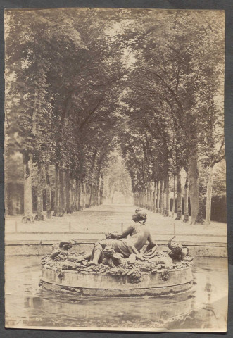Versailles. Fontaine.