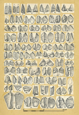 « Vieux dessins » : 87 planches, papier.