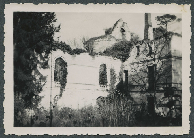 Saint-Épain (Indre-et-Loire). Ruines du château de Montgoger.