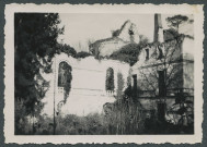 Saint-Épain (Indre-et-Loire). Ruines du château de Montgoger.