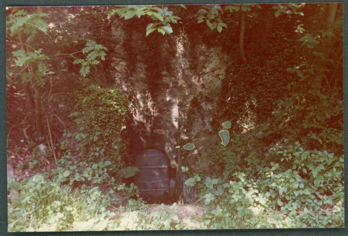Monts, domaine de Candé : la source.