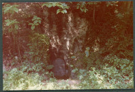 Monts, domaine de Candé : la source.
