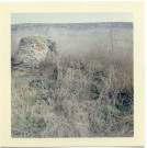 Château de Chinon : courtine nord-ouest.