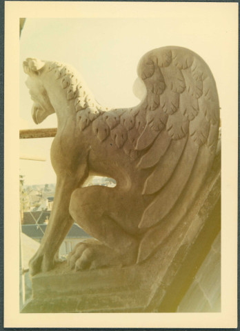 Amboise, hôtel Joyeuse : détails architecturaux.