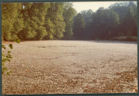 Monts, domaine de Candé : moulin Couché, prairie (assèchement).