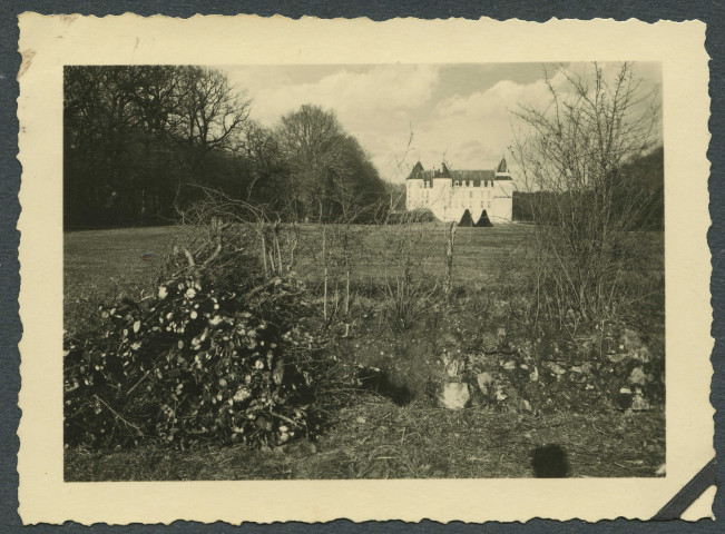 La Chapelle-Blanche-Saint-Martin. Château de Grillemont.