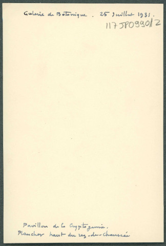 Paris. Muséum d'histoire naturelle, galerie de botanique, pavillon de cryptogamie, plancher haut du rez-de-chaussée.
