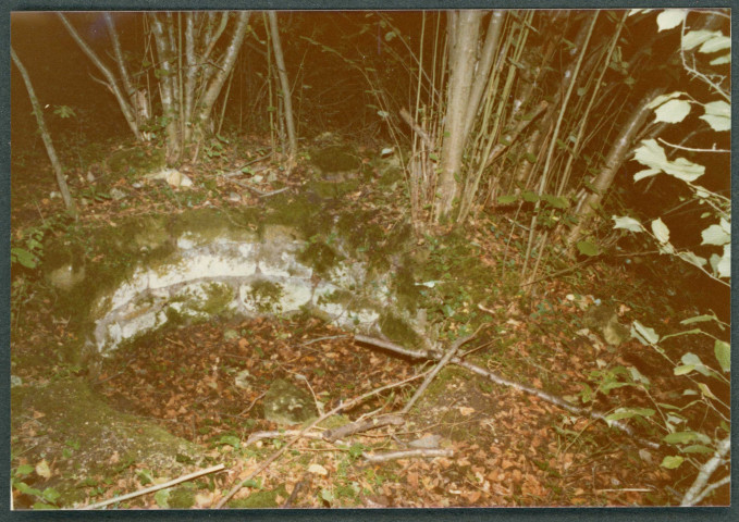 Château du Grand-Pressigny : [fontaine située devant le nymphée].