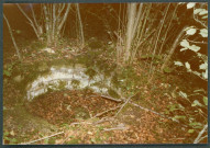 Château du Grand-Pressigny : [fontaine située devant le nymphée].