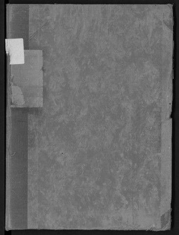 N° 3 : Allias-Ancelot