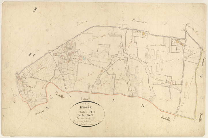 Section A1 de la Forêt