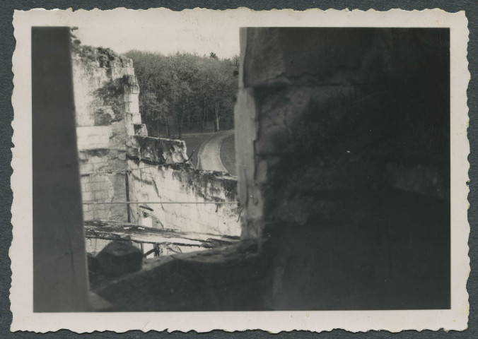 Saint-Épain (Indre-et-Loire). Ruines du château de Montgoger.