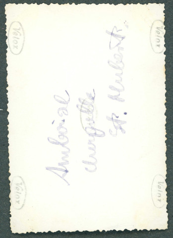 Entrée du château d'Amboise.