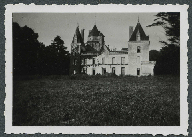 Ternay (Vienne). Château.