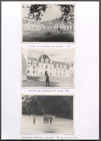 Champigny-sur-Veude (Indre-et-Loire). Château.