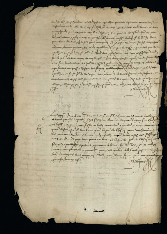 8 novembre 1488 - 22 janvier 1489 (n.s.)