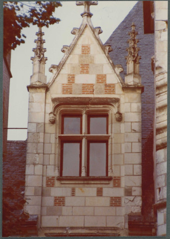 Monts, château de Candé : fenêtre.
