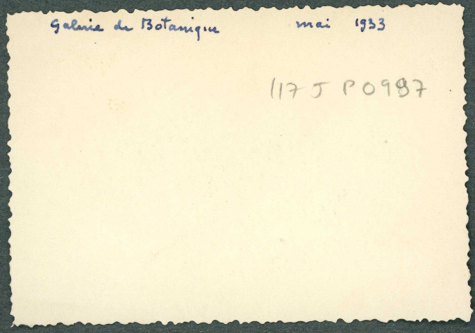 Paris. Muséum d'histoire naturelle, galerie de botanique.