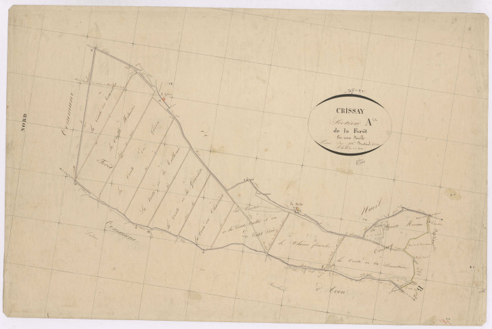 Section A1 de la Forêt