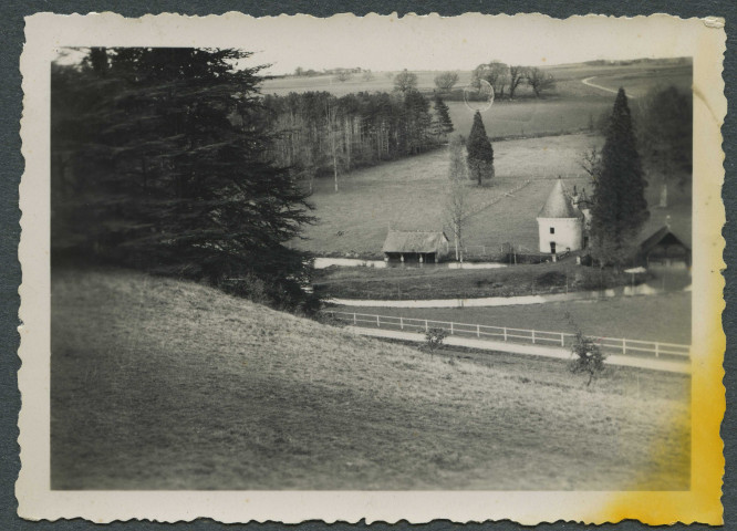 Saint-Épain (Indre-et-Loire). Ruines du château de Montgoger.