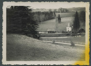 Saint-Épain (Indre-et-Loire). Ruines du château de Montgoger.