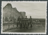 Chinon (Indre-et-Loire). Château.