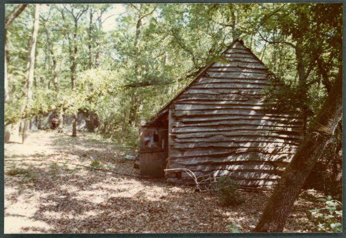 Monts, domaine de Candé : la Maugerie.