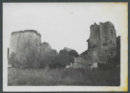 Château de Crissay-sur-Manse (Indre-et-Loire). Habitations troglodytiques.