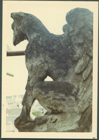 Amboise, hôtel Joyeuse : détails architecturaux.