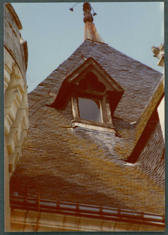 Monts, château de Candé : toiture.