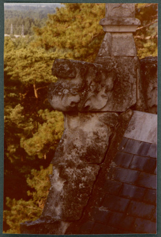 Monts, château de Candé : détail architectural.