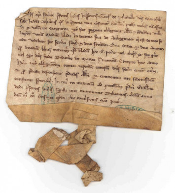 Charte de Geoffroy de Palluau, seigneur de Montrésor, en faveur de l'abbaye de Vilelloin en 1234 (cote AD37 : H592)