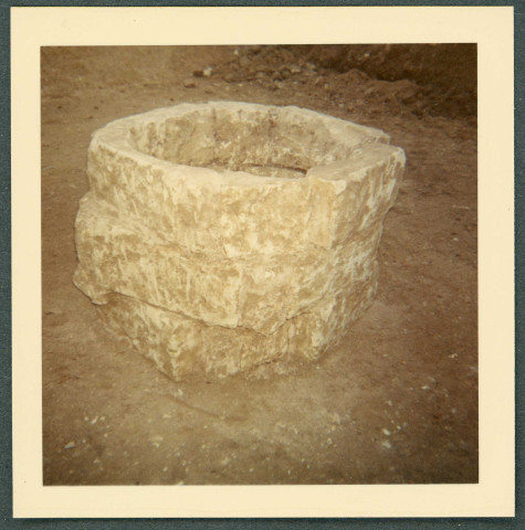 La Riche, prieuré Saint-Cosme : puits.