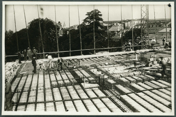 Paris. Muséum d'histoire naturelle, galerie de botanique, pavillon de cryptogamie, plancher haut du rez-de-chaussée.
